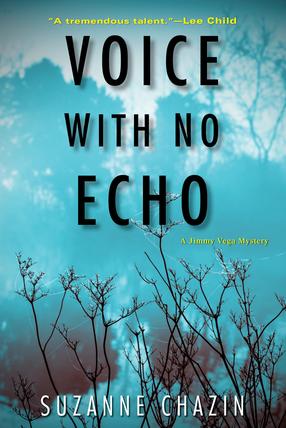 Voice with No Echo by Suzanne Chazin book cover
